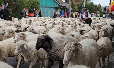 Stowarzyszenie Emerytów i Rencistów "GRODZISKO"